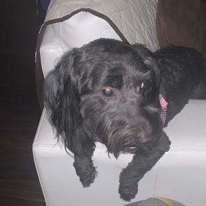 Meet your Posher, Marina